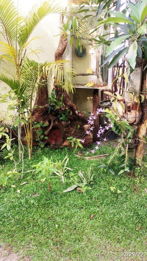 Nilupul Villa Ambalangoda  Buitenkant foto